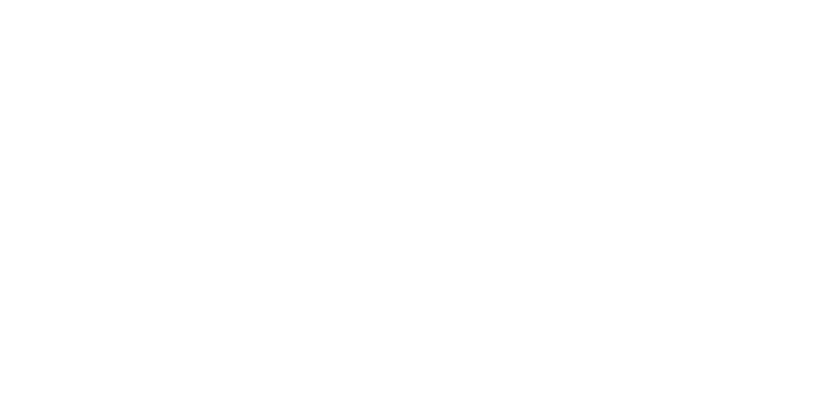 Global Strategy